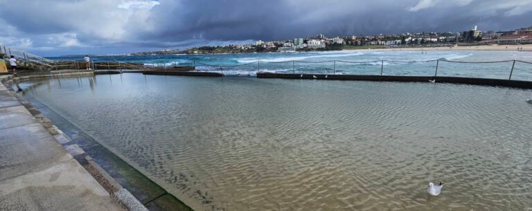 wally weekes ocean pool north bondi nsw 768x305
