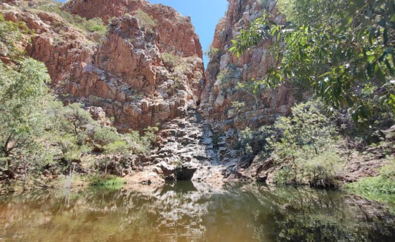 fountain springs kuridala qld au 768x472