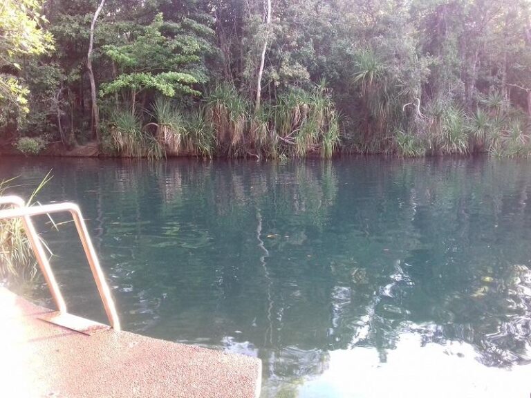 Berry Springs Nature Park Swimming Hole NT AU Berry Springs Nature Park Swimming Hole NT AU